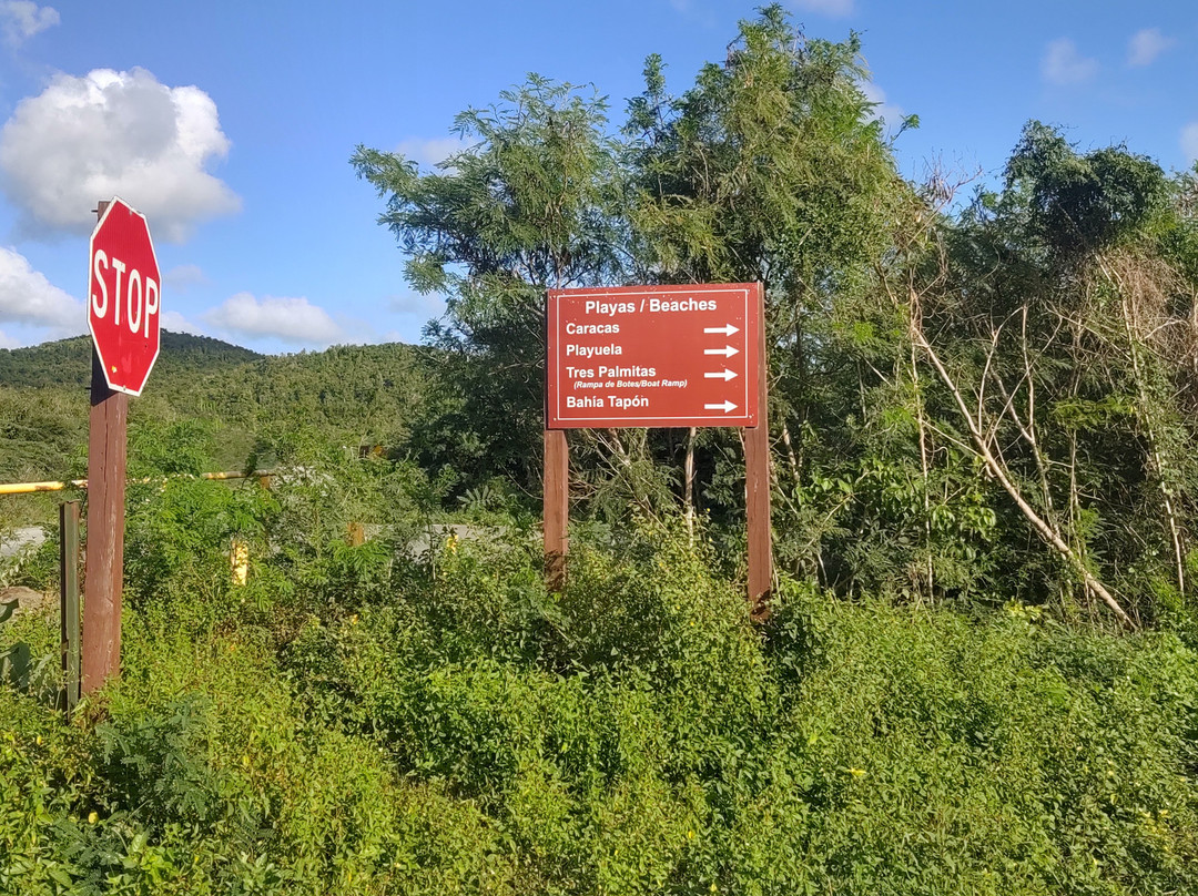 Vieques National Wildlife Refuge-维切克岛必去景点