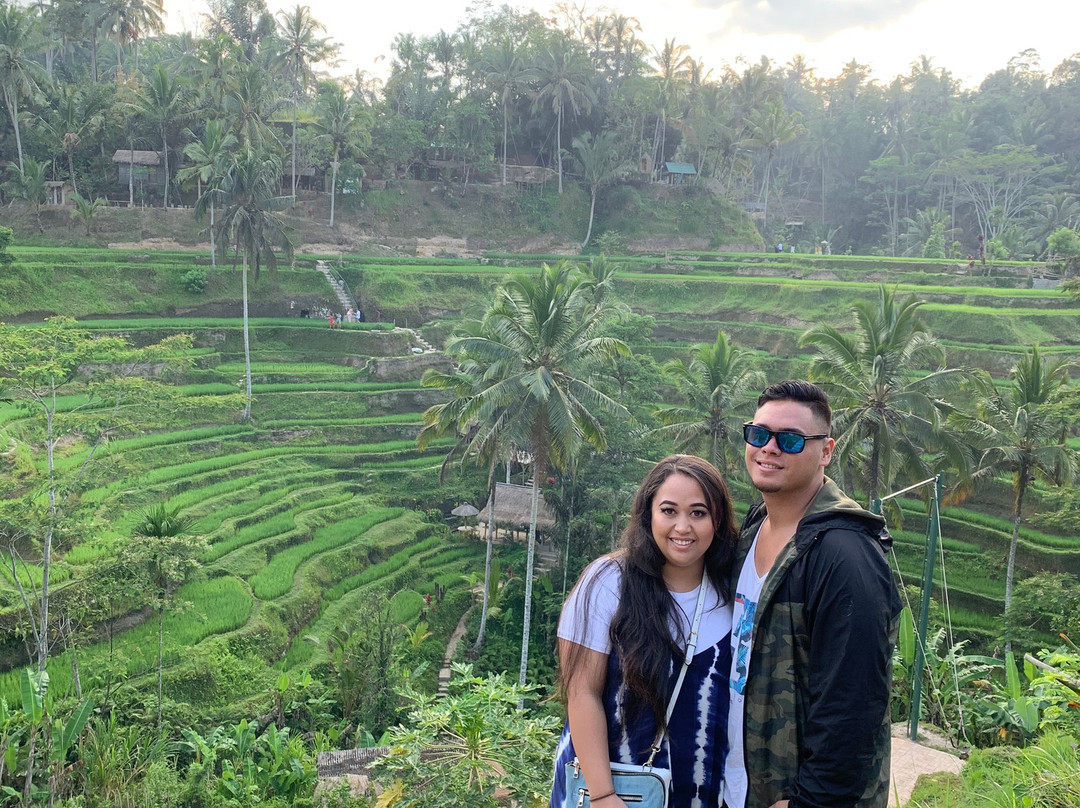 Bali Waterfalls & Jungle Trekking景点图片