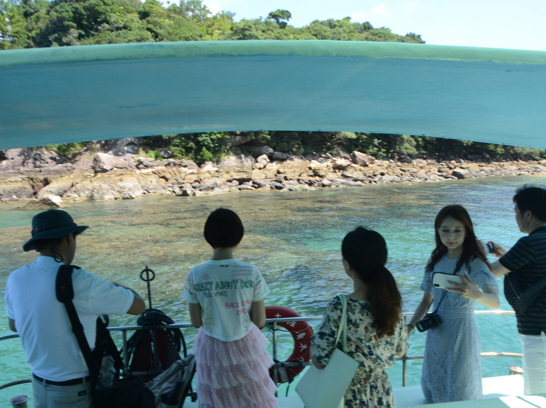 Tatsukushi Pleasure Boat-土佐清水市必去景点