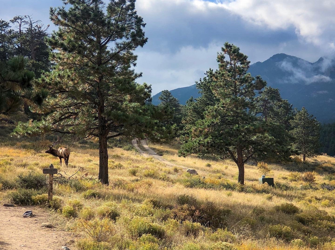 Moraine Park Museum-落基山国家公园必去景点