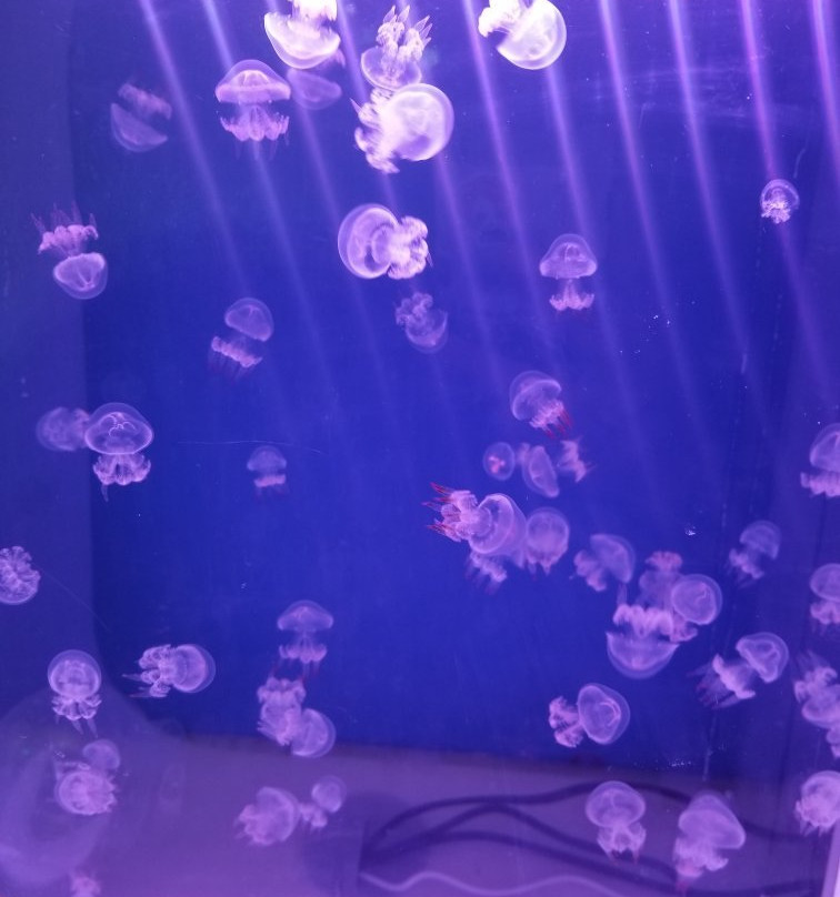 China Tours Net-北京市必去景点