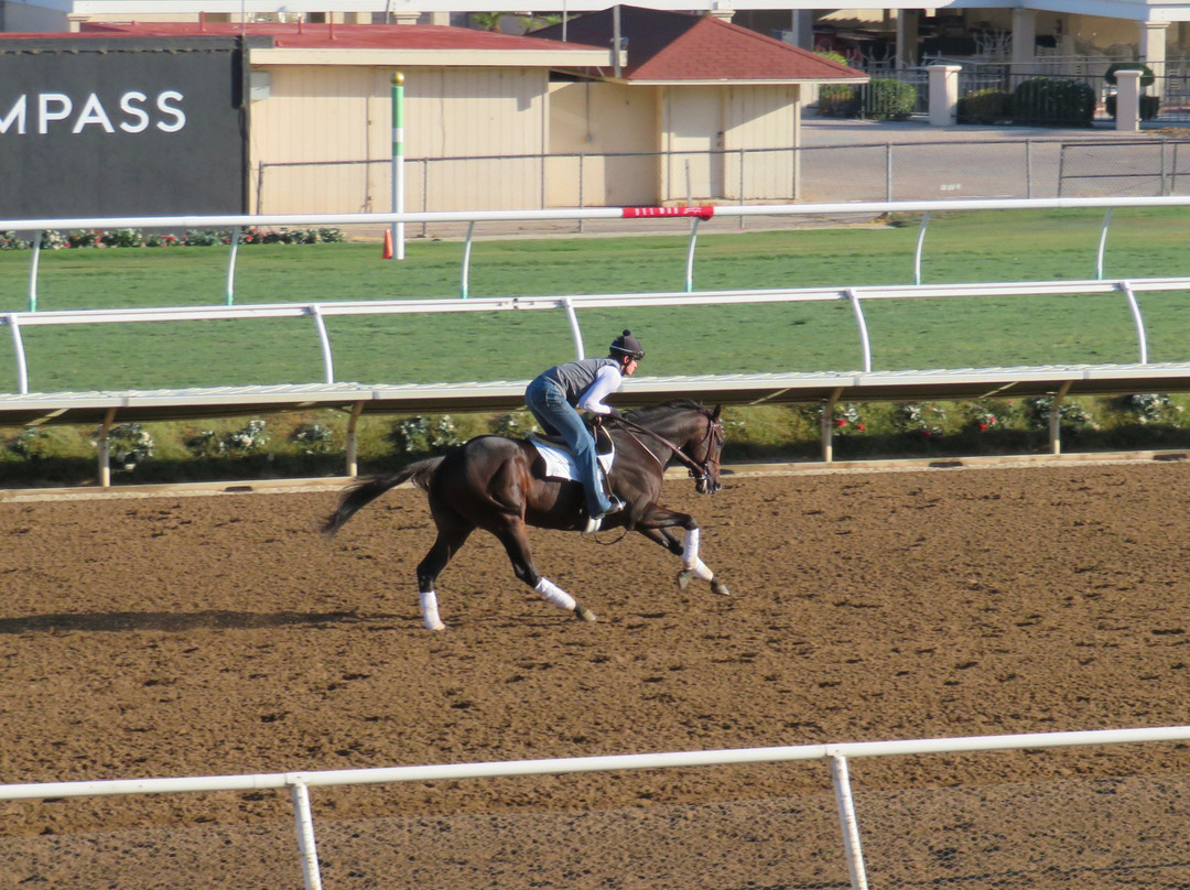 Del Mar Racing-德尔马必去景点