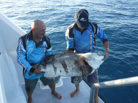 Eastern Voyager Charters-Gladstone必去景点