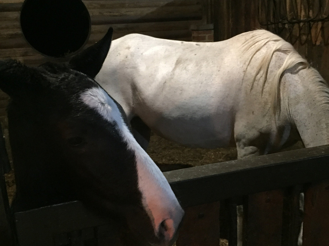 La Victoria Hotel Campestre主图