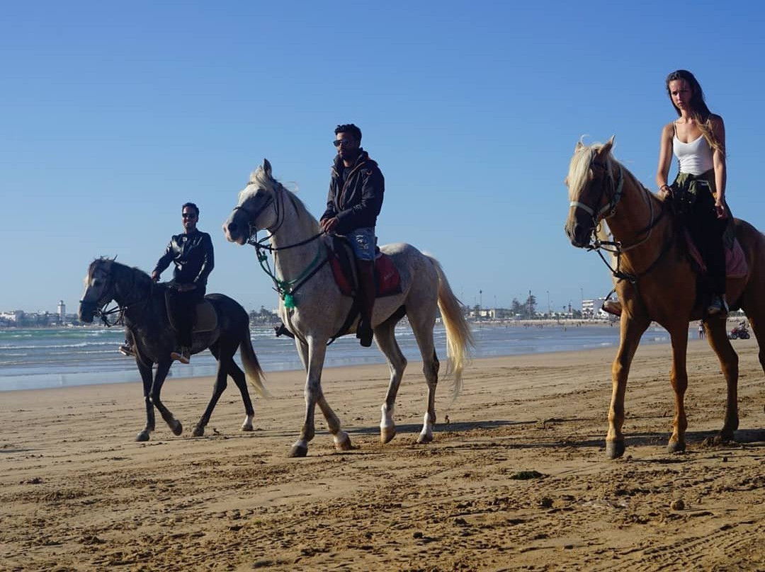 Essaouira Trip-索维拉必去景点