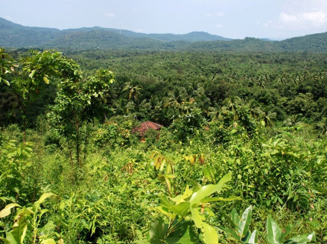 The Happiness Estate主图