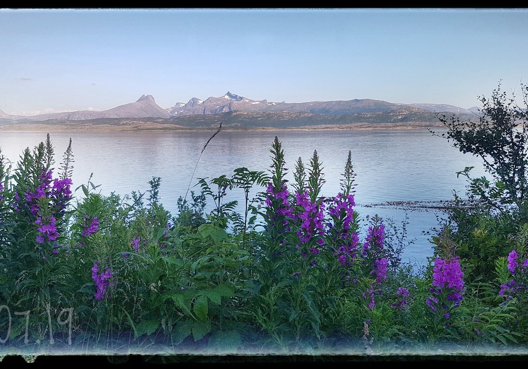 Bodøsjøen Friluftsomrade景点图片