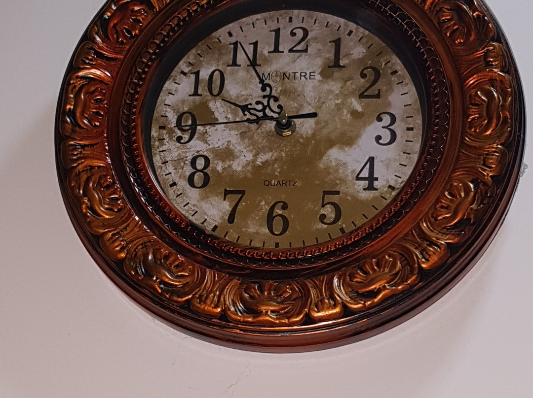 Cormorant Lake Resort主图