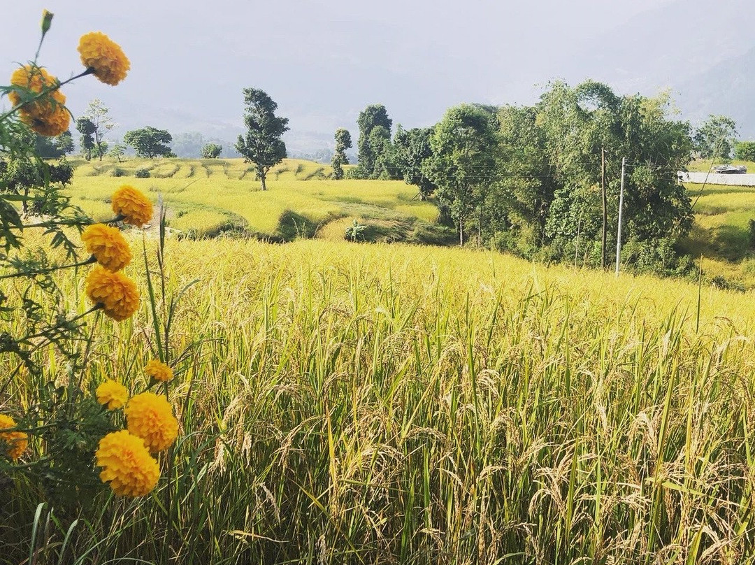 Astam Village Lodge主图