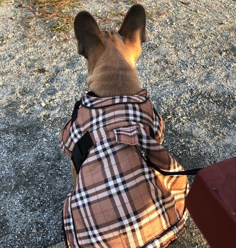 Colony Farm Regional Park-高贵林港必去景点