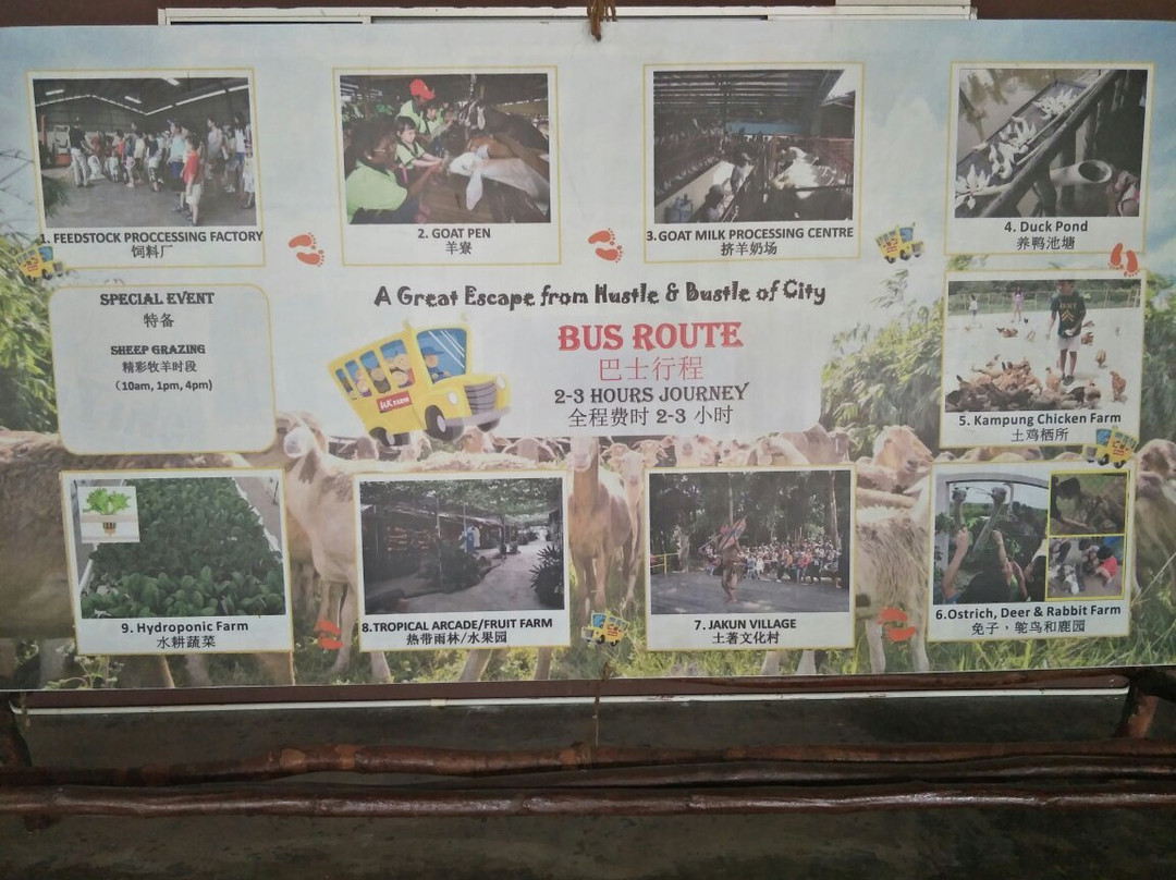 UK Farm-居銮必去景点