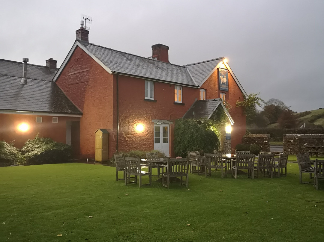 The Felin Fach Griffin主图