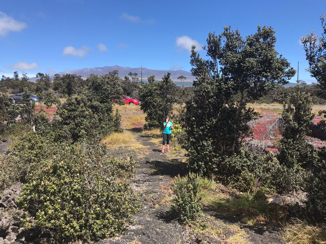 Pu'u Huluhulu trail-夏威夷火山国家公园必去景点