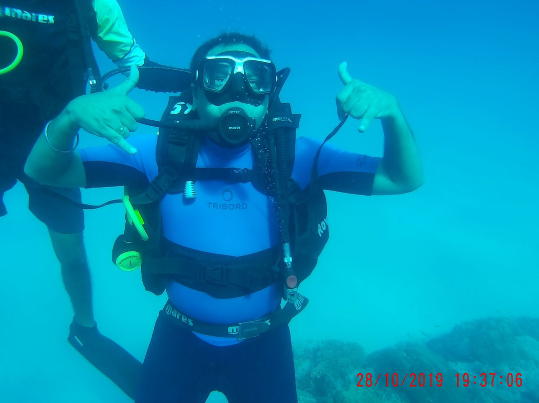 Scuba Yogi景点图片