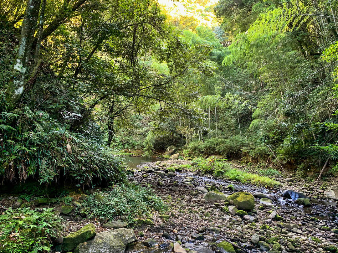 Choyotodoro Falls-萨摩川内市必去景点