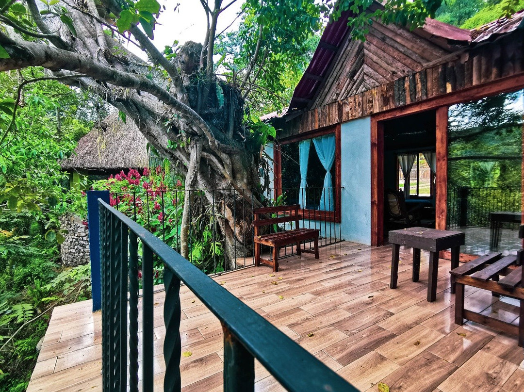 Cabañas y Casas del Árbol La Huerta