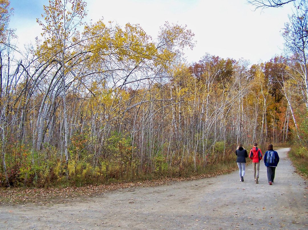 Mount Nemo Conservation Area-伯灵顿必去景点