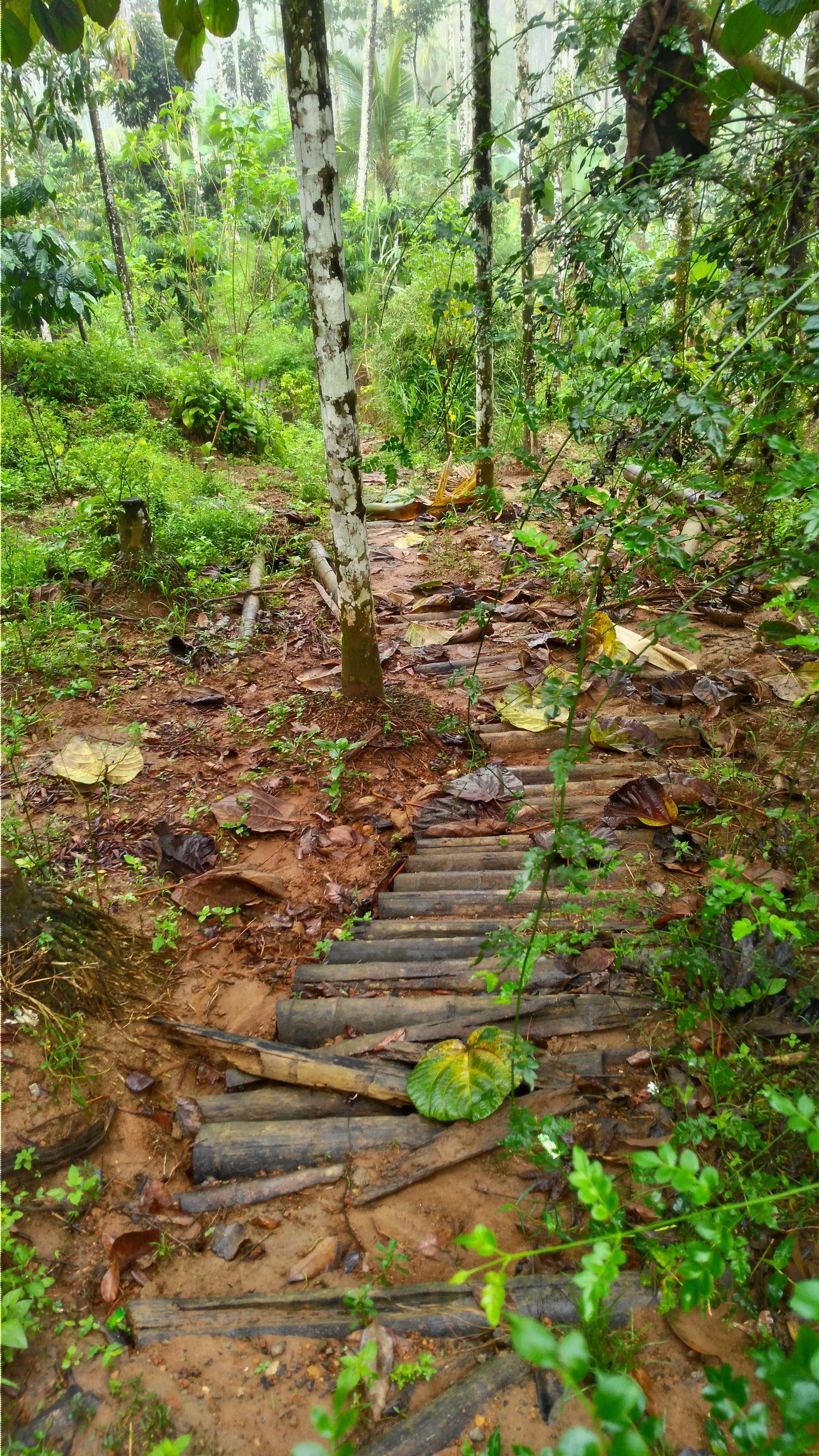 Himadri Retreat-浴室