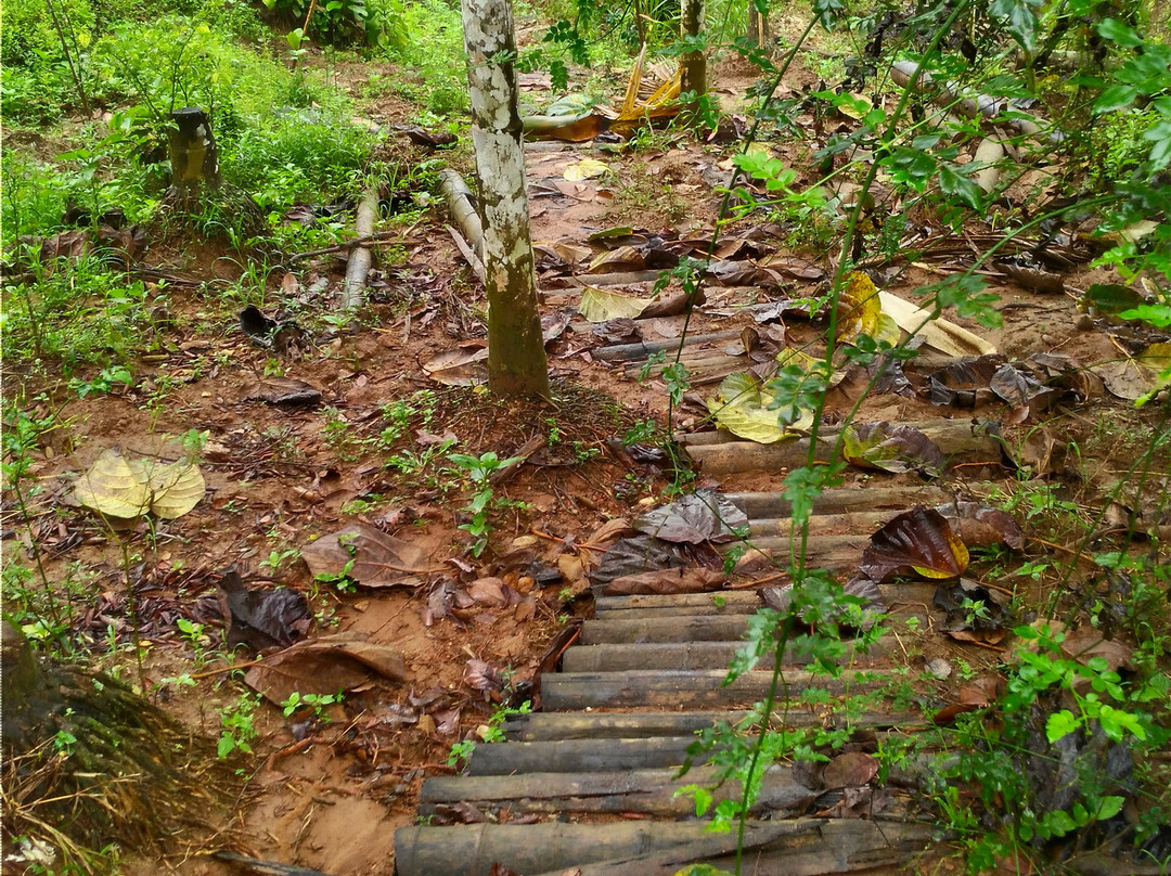 Himadri Retreat主图