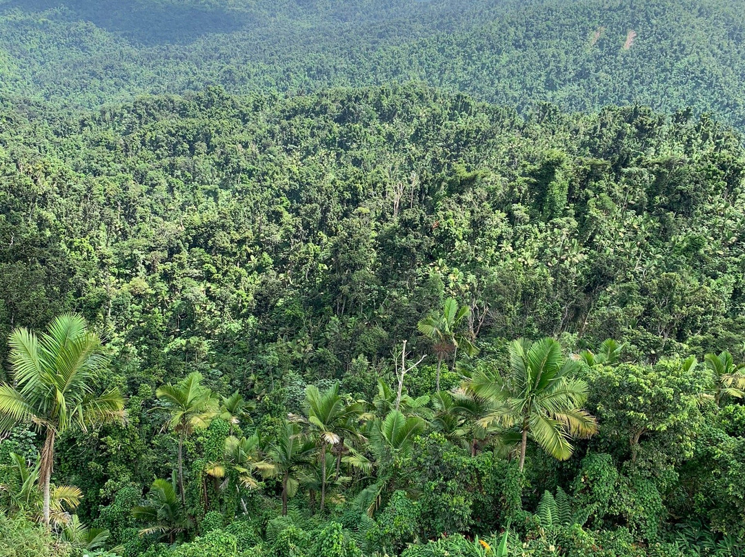 Yokahu Tower-Rio Grande必去景点