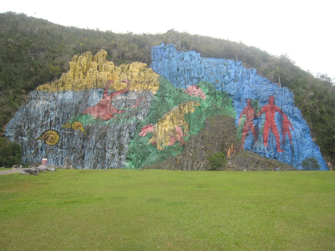 Excursion a Caballo en Viñales景点图片