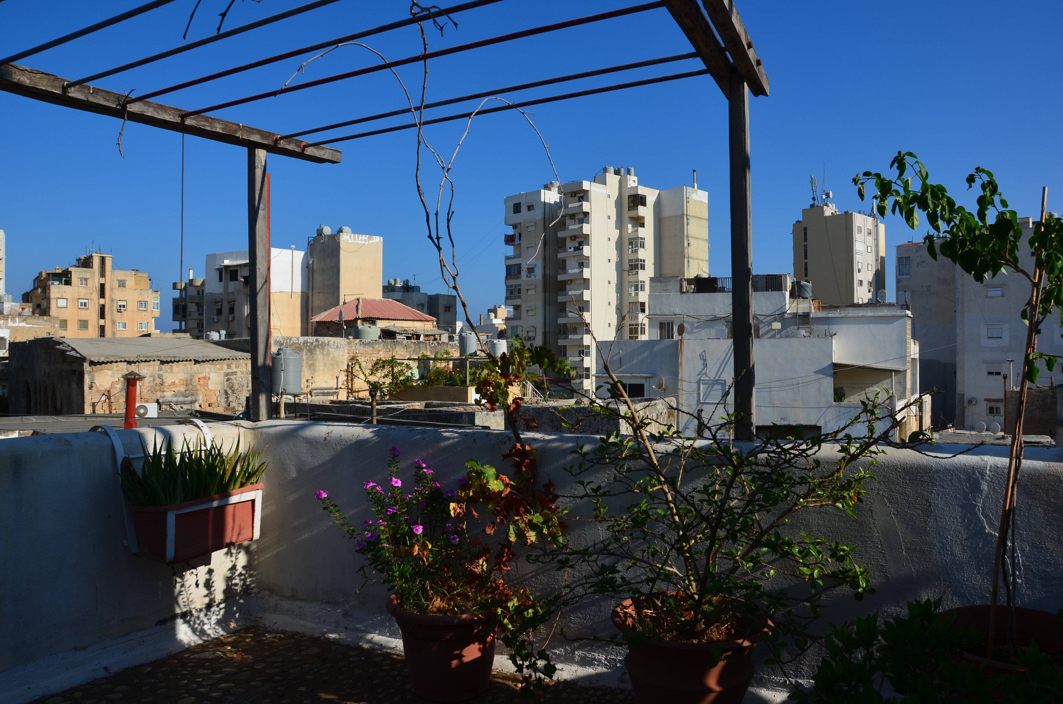 Beit El Nessim-官方
