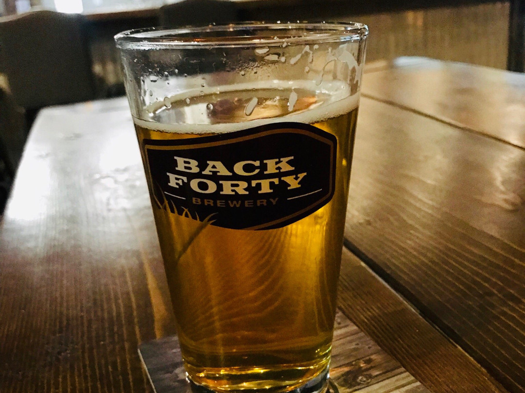Back Forty Brewery-Yorkton必去景点