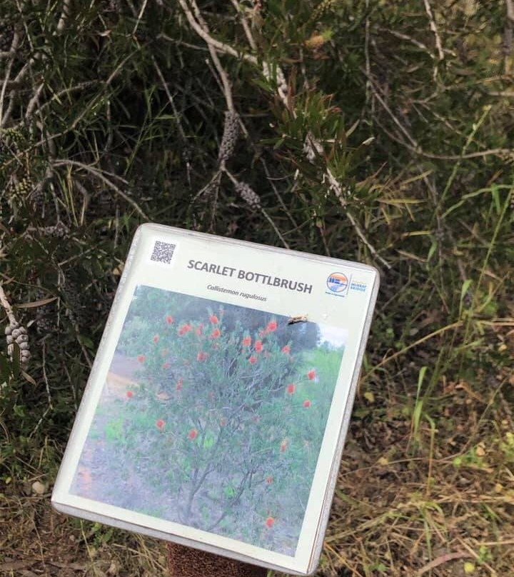 Rocky Gully Wetlands-Murray Bridge必去景点