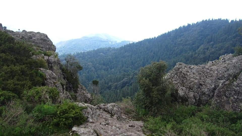Mirador Pena del Cuervo景点图片