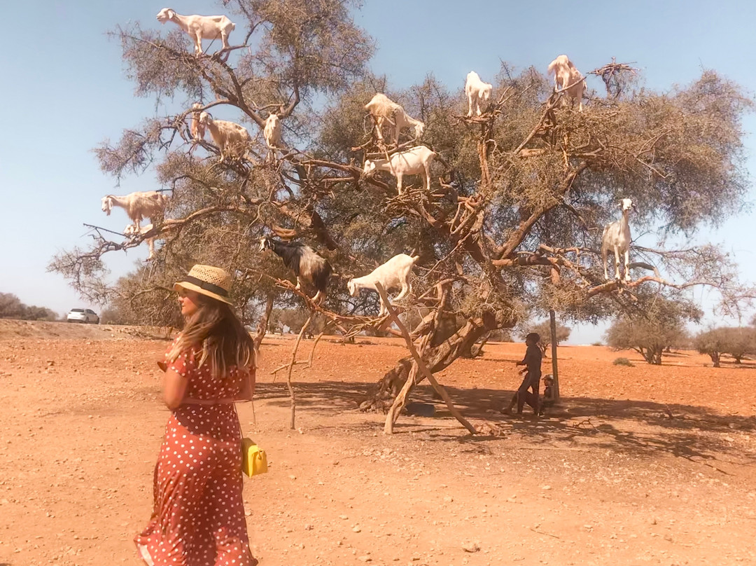 Marrakech Quad Bike-Ait Azzi必去景点