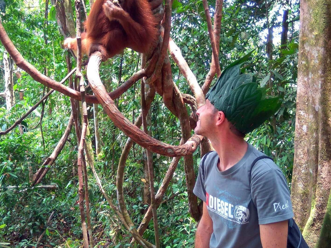 Bukit Lawang Smile-武吉拉旺必去景点