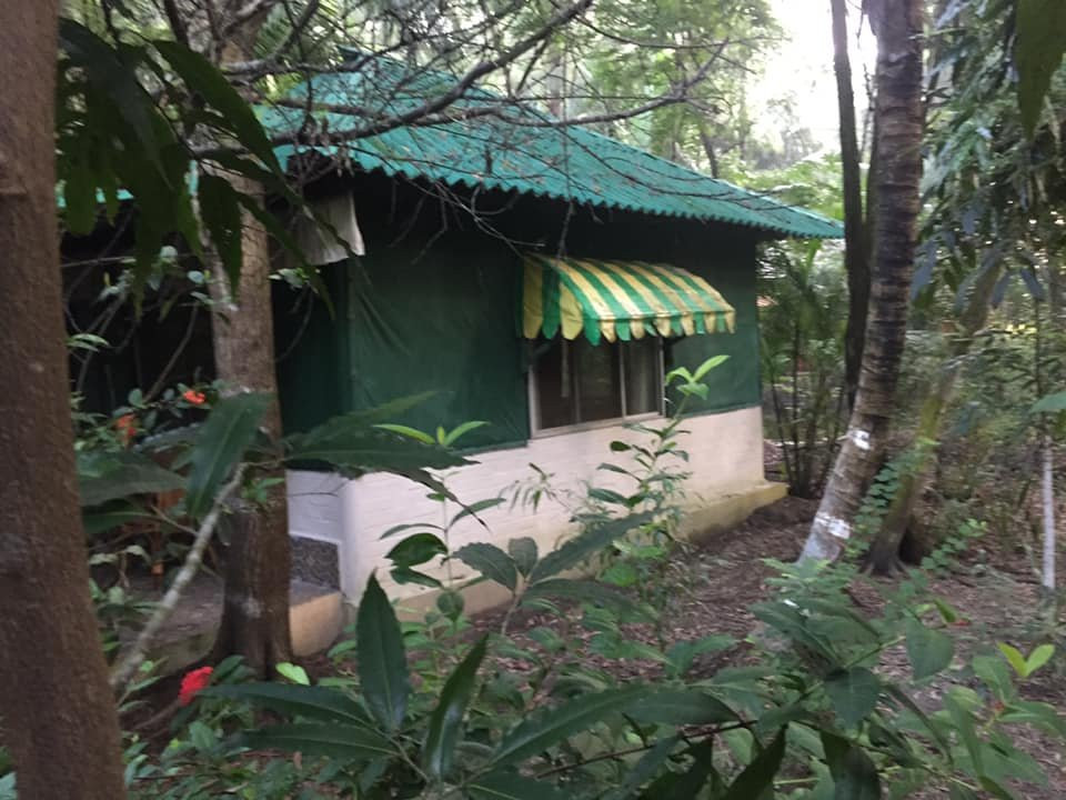 Sunderban Tiger Camp主图