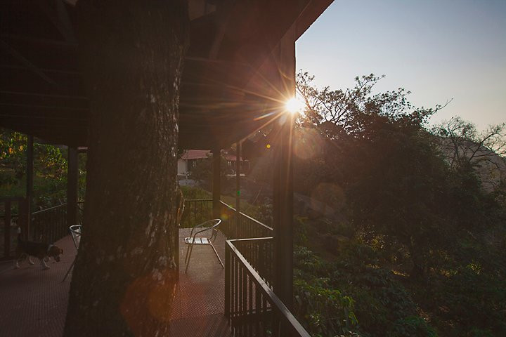 Marmalade Springs主图