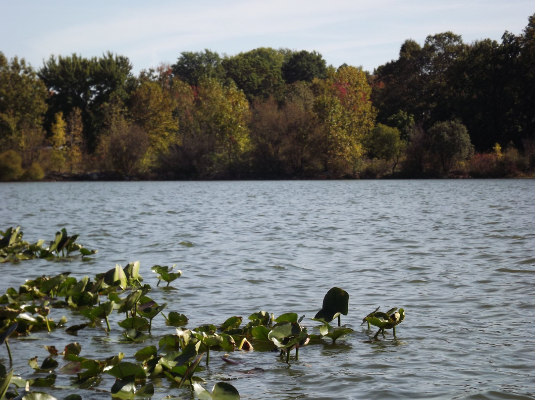 Springfield Lake Park景点图片