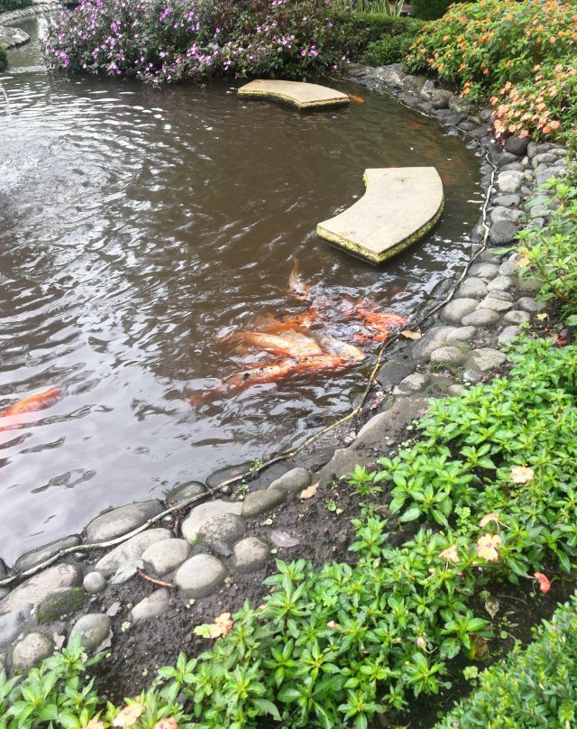 Valle Escondido Spa-波魁特必去景点