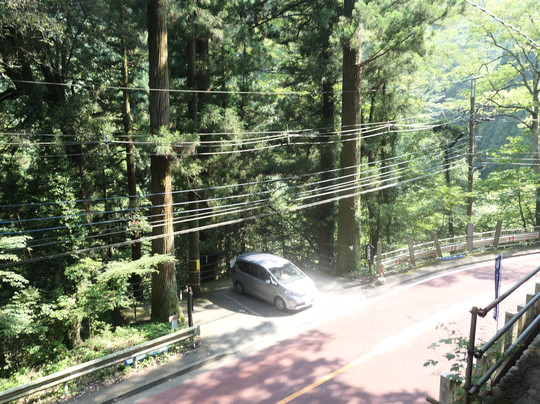 Kuzuryu Shrine-桧原村必去景点