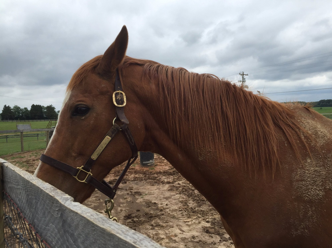 Old Friends at Kentucky Downs