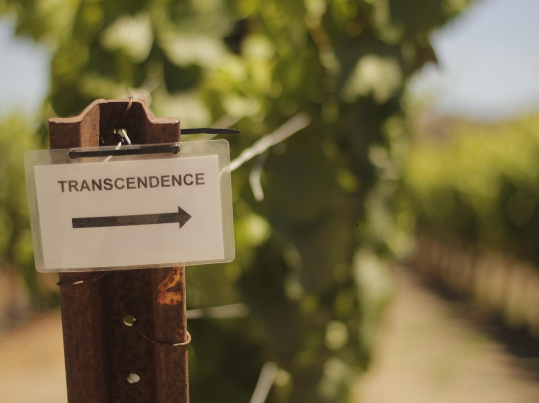 Transcendence Winery景点图片