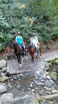 Misty Acres-Ravensdale必去景点