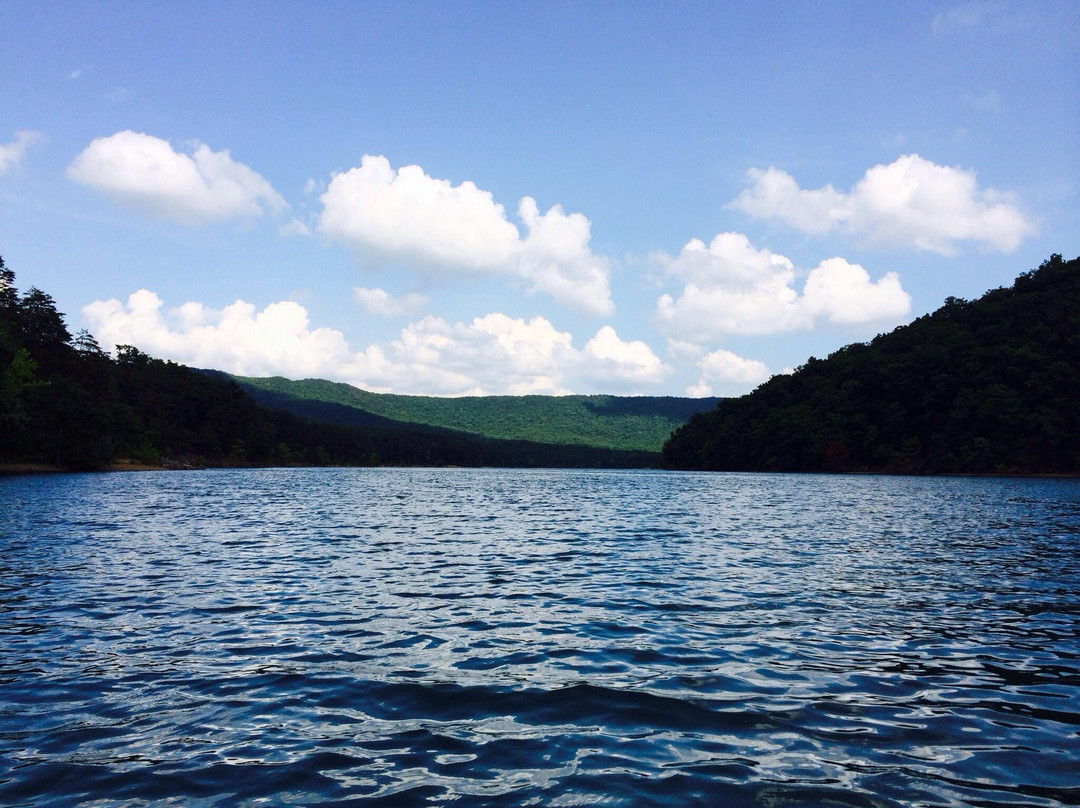 Carvins Cove Natural Reserve景点图片