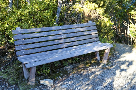 Governors Bush Walk-库克山村庄必去景点