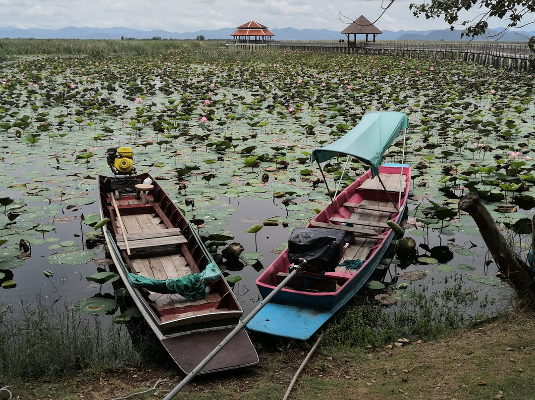 Bueng Bua Nature Observation Center景点图片