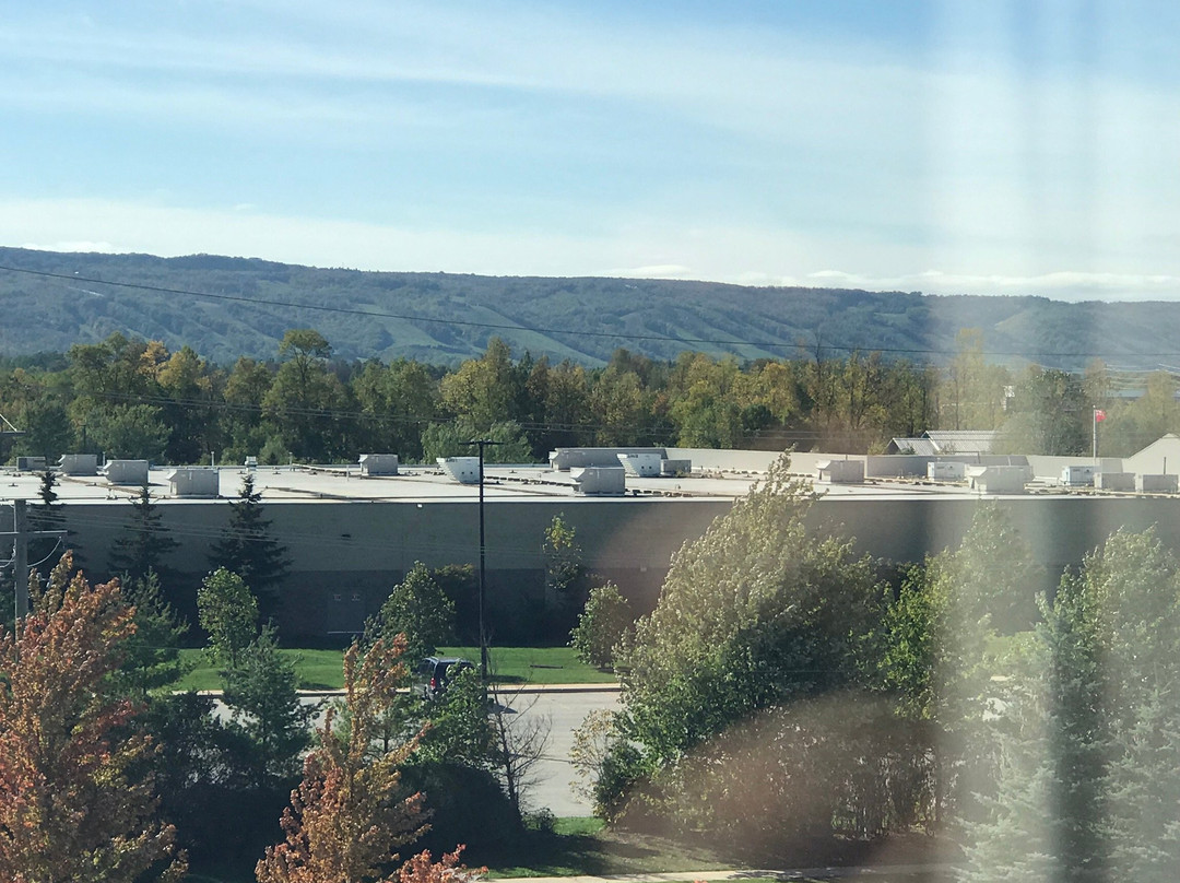 Days Inn & Suites by Wyndham Collingwood主图