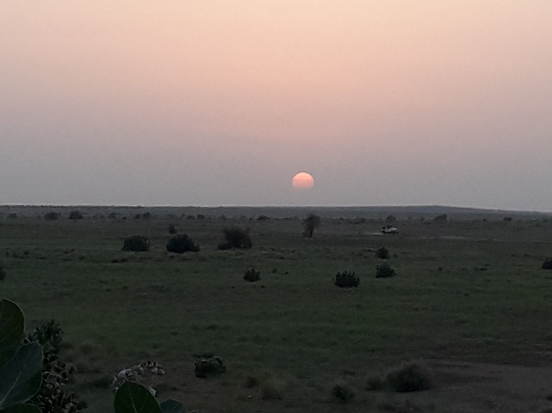 Hotel Sallu Safari景点图片