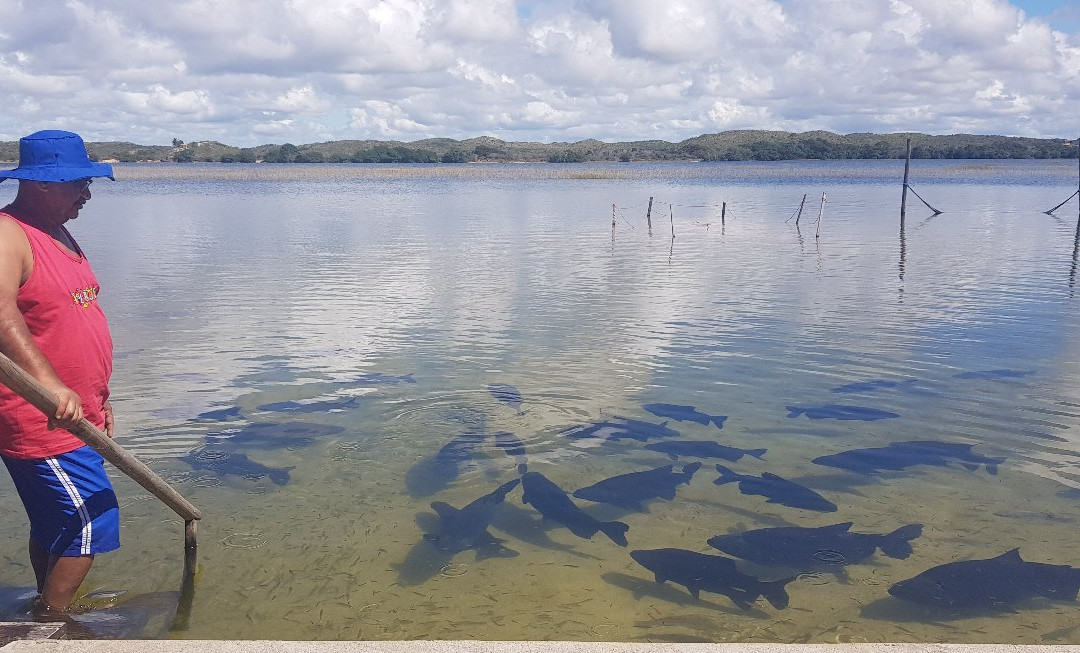 Lagoa dos Tambaquis景点图片