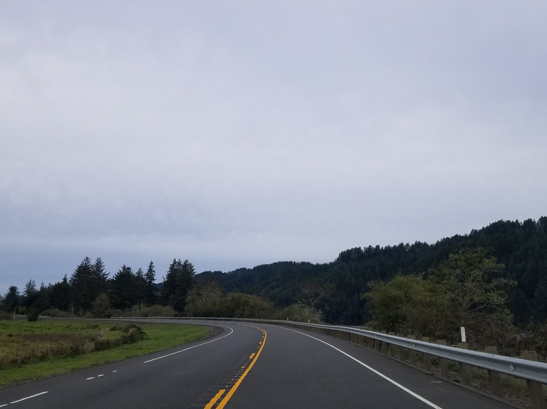 Oregon Route 38景点图片