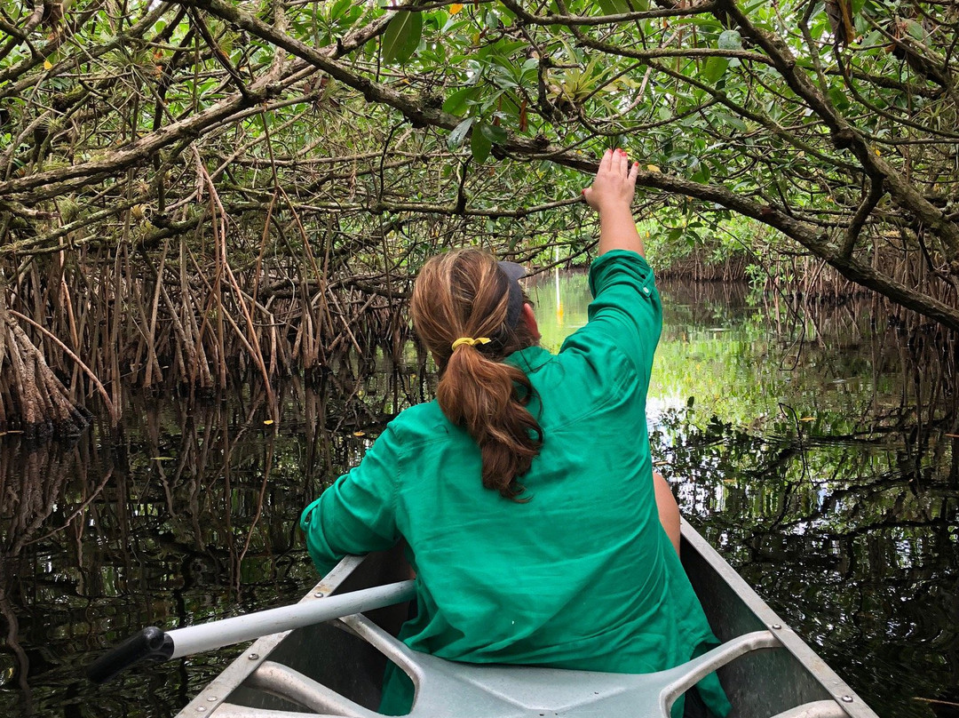 Gulf Coast Visitor Center-大沼泽地必去景点