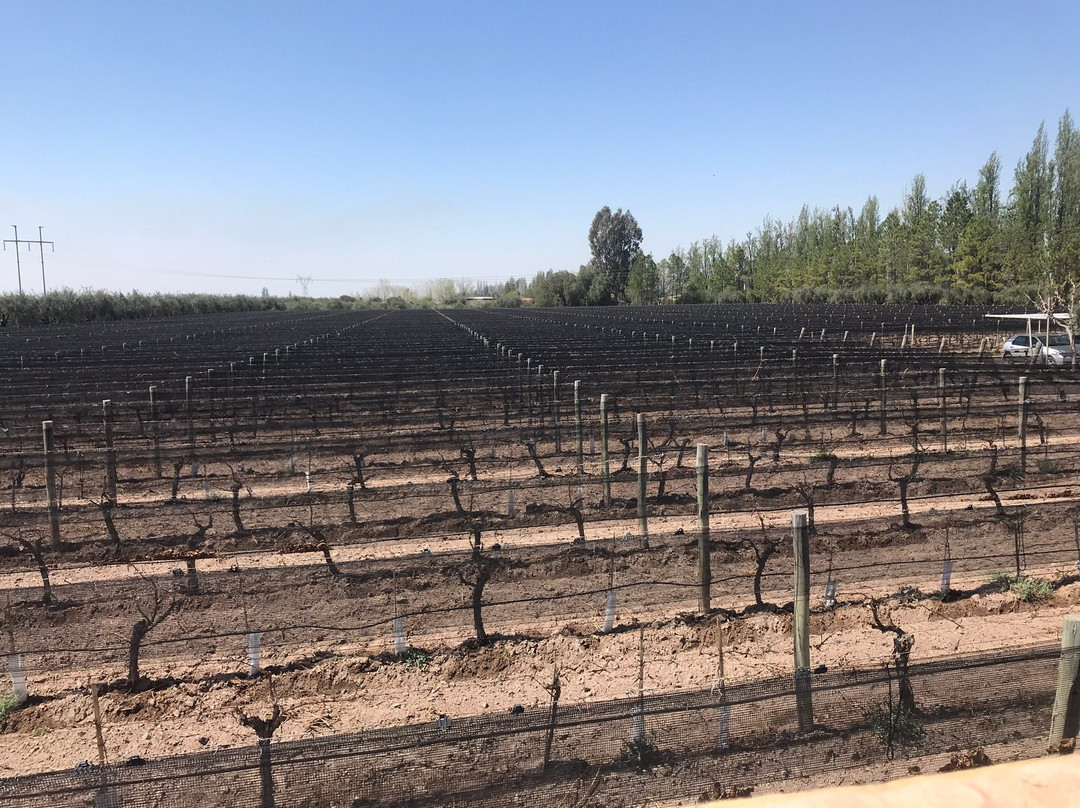 Mr. Hugo Bikes-Maipu必去景点