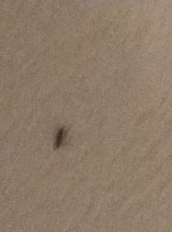 Suite Dreams Hotel主图