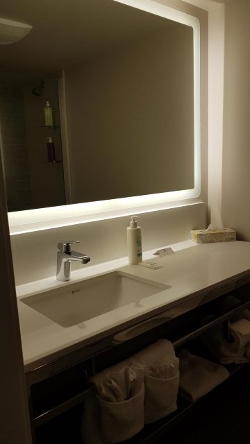 尼斯库海岸旅馆及会议中心-浴室